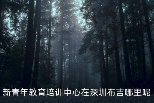新青年教育培訓(xùn)中心在深圳布吉哪里呢
