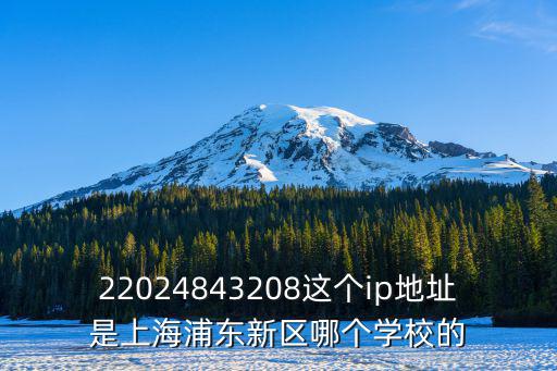 22024843208這個ip地址是上海浦東新區哪個學校的
