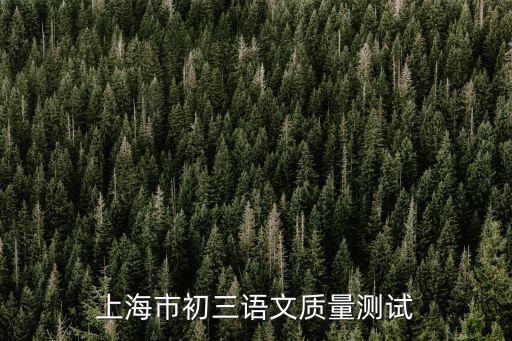 上海市初三語文質量2018測試A，上海市初三語文質量測試