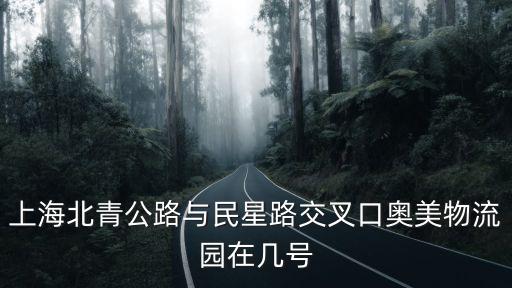 上海北青公路與民星路交叉口奧美物流園在幾號