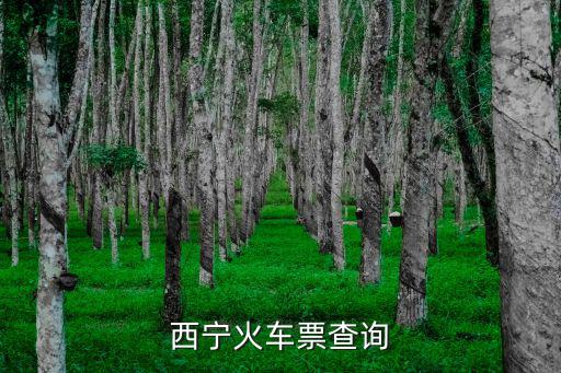 西寧火車票查詢