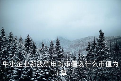 中小企業新股票申購市值以什么市值為計算