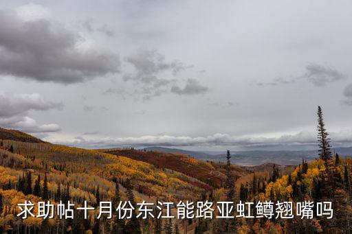 求助帖十月份東江能路亞虹鱒翹嘴嗎