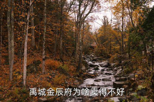 禹城金辰府為啥賣(mài)得不好