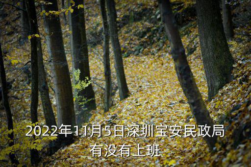 2022年11月5日深圳寶安民政局有沒有上班