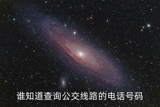 誰知道查詢公交線路的電話號碼