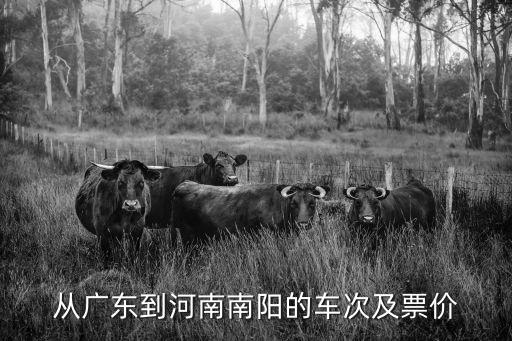 從廣東到河南南陽的車次及票價