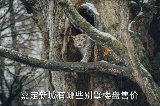 嘉定新城有哪些別墅樓盤售價