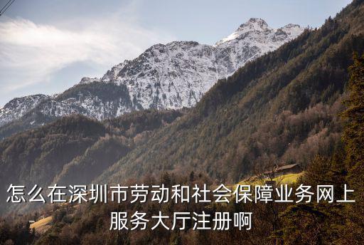 怎么在深圳市勞動和社會保障業務網上服務大廳注冊啊