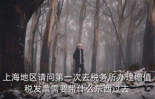 上海市去稅務局領發票要帶什么東西，去稅務局領發票需要帶什么資料去