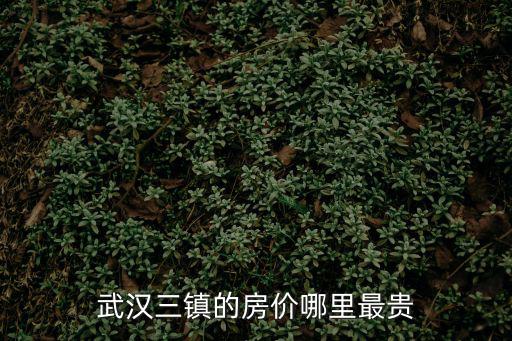 武漢哪個區房價好一些，武漢三鎮的房價哪里最貴