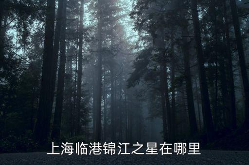 上海臨港錦江之星在哪里
