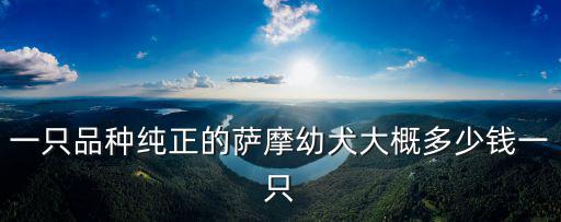 薩摩幼犬地區價格多少錢一只，幼年薩摩耶犬多少錢一只