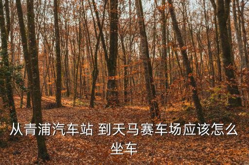 從青浦汽車站 到天馬賽車場應(yīng)該怎么坐車