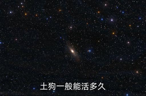 土狗一般能活多久
