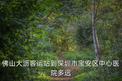 佛山大瀝客運(yùn)站到深圳市寶安區(qū)中心醫(yī)院多遠(yuǎn)