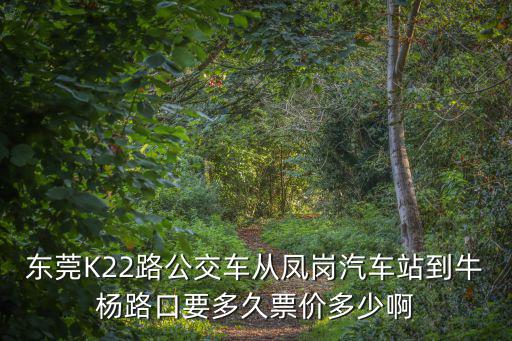 東莞K22路公交車從鳳崗汽車站到牛楊路口要多久票價多少啊