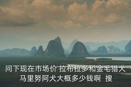 問(wèn)下現(xiàn)在市場(chǎng)價(jià) 拉布拉多和金毛獵犬 馬里努阿犬大概多少錢(qián)啊  搜