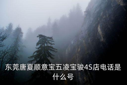 東莞唐夏順意寶五凌寶駿4S店電話是什么號