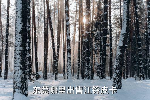 東莞哪里出售江鈴皮卡