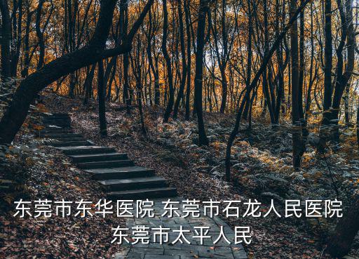 東莞市東華醫院 東莞市石龍人民醫院 東莞市太平人民