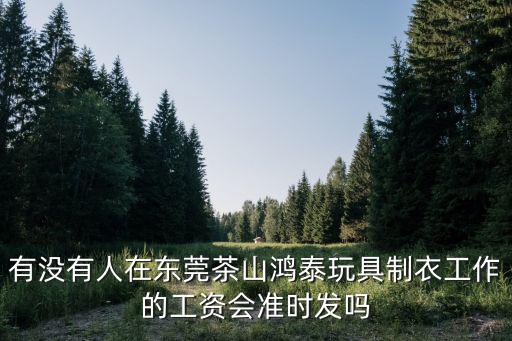 有沒有人在東莞茶山鴻泰玩具制衣工作的工資會準時發嗎