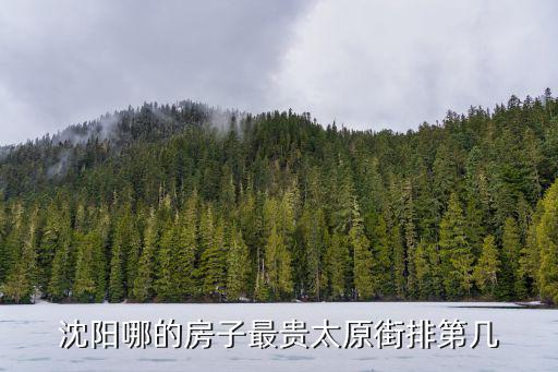 沈陽哪的房子最貴太原街排第幾