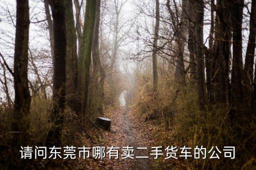 請(qǐng)問(wèn)東莞市哪有賣(mài)二手貨車(chē)的公司