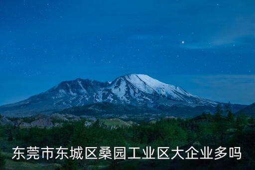東莞市東城區(qū)桑園工業(yè)區(qū)大企業(yè)多嗎