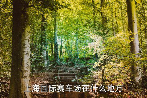 上海國際賽車場在什么地方