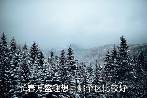 長春萬盛理想國哪個區(qū)比較好