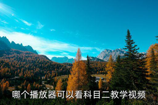哪個(gè)播放器可以看科目二教學(xué)視頻