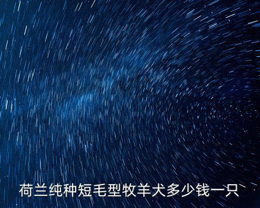 荷蘭純種短毛型牧羊犬多少錢一只