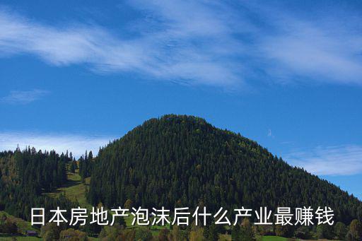 日本房地產泡沫后什么產業最賺錢