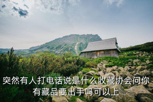 上海市收藏家協(xié)會(huì)年度總結(jié)，上海市寶山區(qū)友誼新路義薄大廈12樓有一個(gè)上海市民間古懂收藏協(xié)會(huì)銷(xiāo)