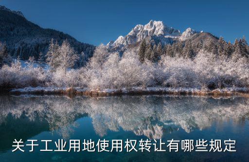 關(guān)于工業(yè)用地使用權(quán)轉(zhuǎn)讓有哪些規(guī)定