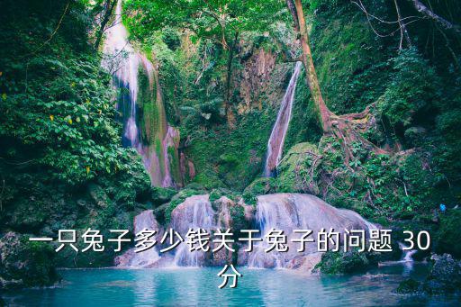 一只兔子多少錢關(guān)于兔子的問題 30分