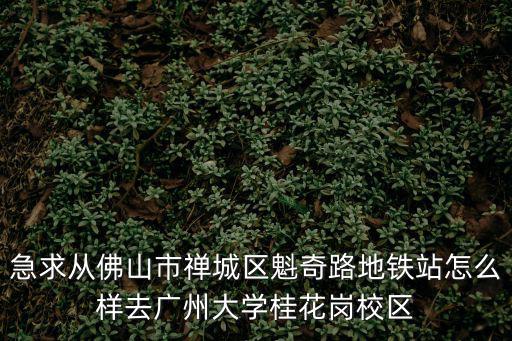 急求從佛山市禪城區(qū)魁奇路地鐵站怎么樣去廣州大學(xué)桂花崗校區(qū)
