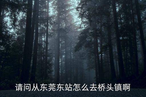 請問從東莞東站怎么去橋頭鎮(zhèn)啊