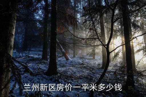 蘭州新區房價一平米多少錢