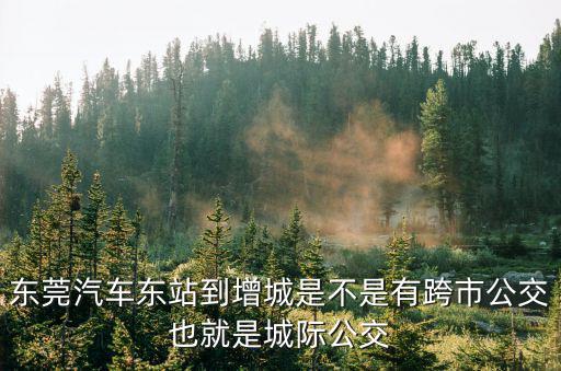 東莞汽車東站到增城是不是有跨市公交也就是城際公交