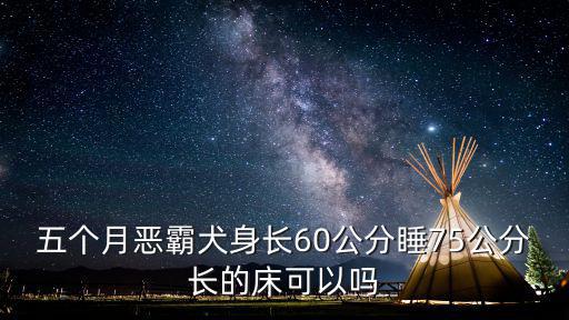 五個月惡霸犬身長60公分睡75公分長的床可以嗎