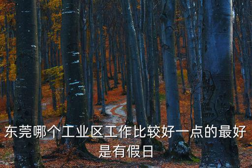 東莞哪個工業區工作比較好一點的最好是有假日