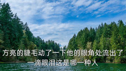 方亮的睫毛動了一下他的眼角處流出了一滴眼淚這是哪一種人
