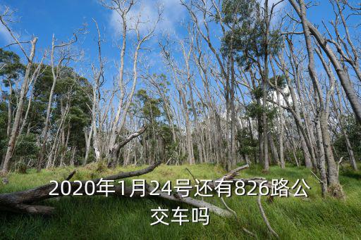 2020年1月24號還有826路公交車嗎