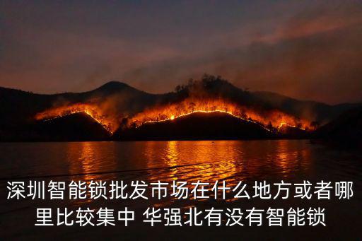 深圳智能鎖批發市場在什么地方或者哪里比較集中 華強北有沒有智能鎖
