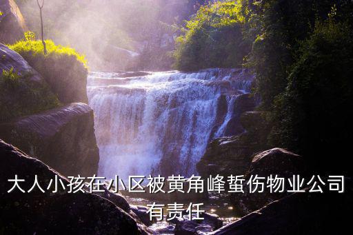 大人小孩在小區被黃角峰蜇傷物業公司有責任