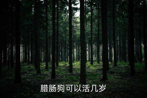 臘腸狗可以活幾歲