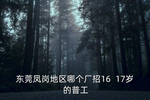 東莞鳳崗川鵬公司，東莞鳳崗地區哪個廠招16  17歲 的普工