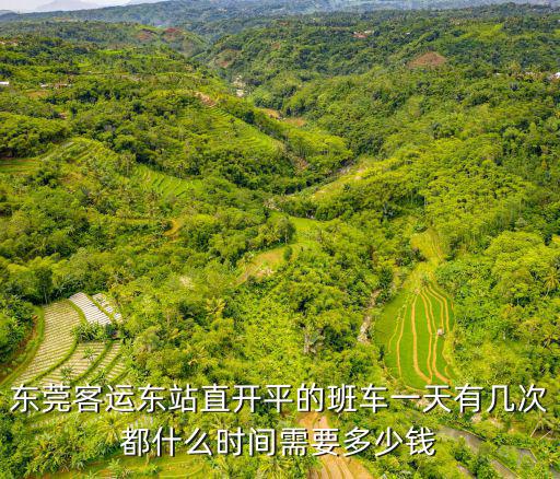 東莞客運東站直開平的班車一天有幾次都什么時間需要多少錢